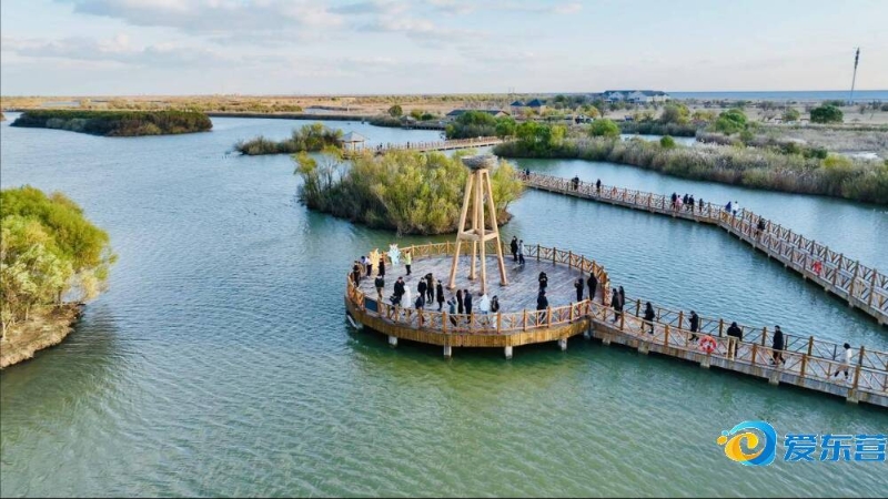 的射门锁定 的射门锁定